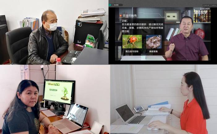 公司教师进行网上授课