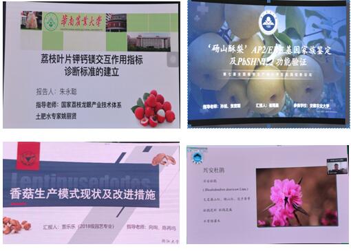 员工现场报告
